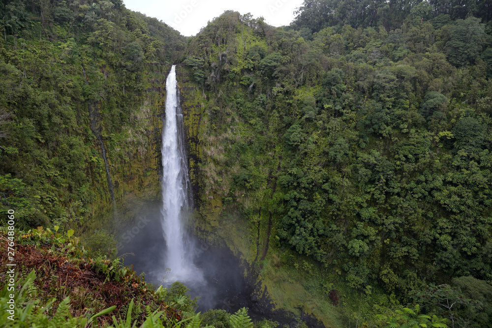 View at Akaka falls at KoleKole stream, Big Island, Hawaii. Stream of water falling from a cliff surrounded by lush tropical forest