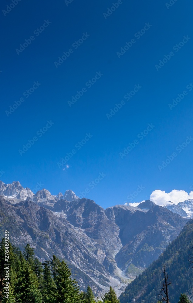 Fototapeta premium Light hitting the alpine meadow and cedar pine trees and rocks 