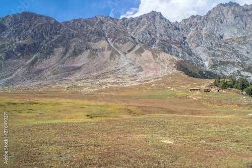 Light hitting the alpine meadow and cedar pine trees and rocks 