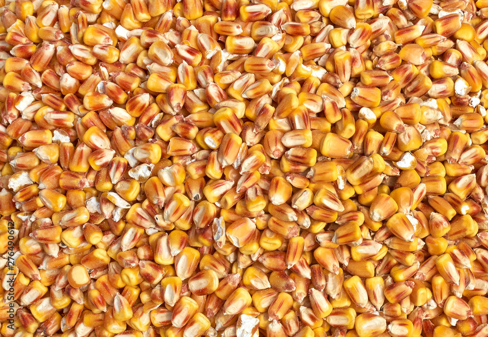 Background texture of crushed seed and grain mix for livestock and bird feed Background texture of crushed seed and grain mix for livestock and bird feed