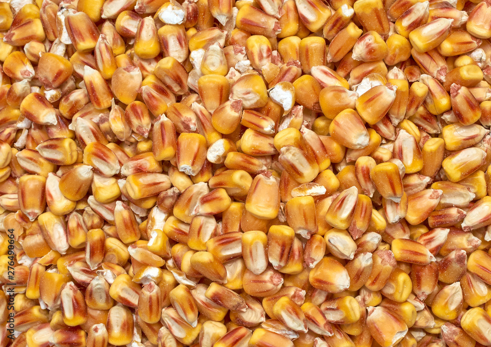 Background texture of crushed seed and grain mix for livestock and bird feed Background texture of crushed seed and grain mix for livestock and bird feed