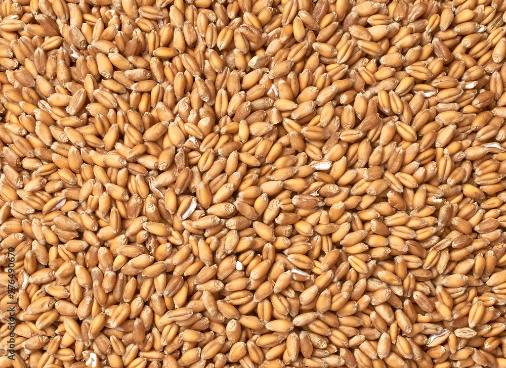 Background texture of crushed seed and grain mix for livestock and bird feed Background texture of crushed seed and grain mix for livestock and bird feed