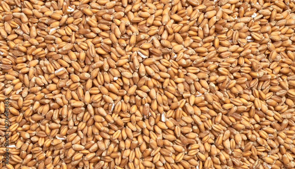 Background texture of crushed seed and grain mix for livestock and bird feed Background texture of crushed seed and grain mix for livestock and bird feed