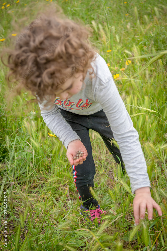 Isolated young girl collecting small snails in the green field during a beautiful spring day- Israel Isolated young girl collecting small snails in the green field during a beautiful spring day- Israel
