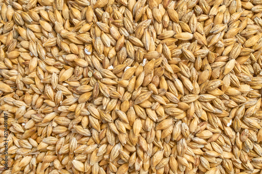 Background texture of crushed seed and grain mix for livestock and bird feed Background texture of crushed seed and grain mix for livestock and bird feed