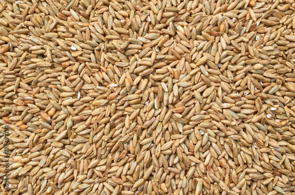 Background texture of crushed seed and grain mix for livestock and bird feed Background texture of crushed seed and grain mix for livestock and bird feed