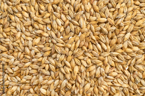 Background texture of crushed seed and grain mix for livestock and bird feed