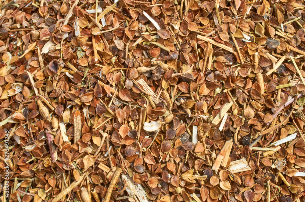 Background texture of crushed seed and grain mix for livestock and bird feed Background texture of crushed seed and grain mix for livestock and bird feed