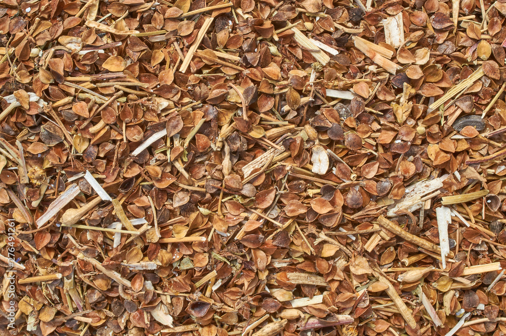 Background texture of crushed seed and grain mix for livestock and bird feed Background texture of crushed seed and grain mix for livestock and bird feed