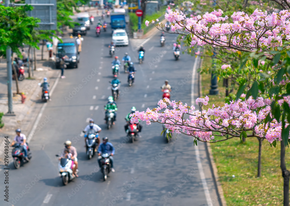 Ho Chi Minh city, Vietnam, March 16th, 2019: Traffic in Saigon from high view, street with motorbikes, car move under pink tabebuia rosea flower tree of developed city in Ho Chi Minh City, Vietnam