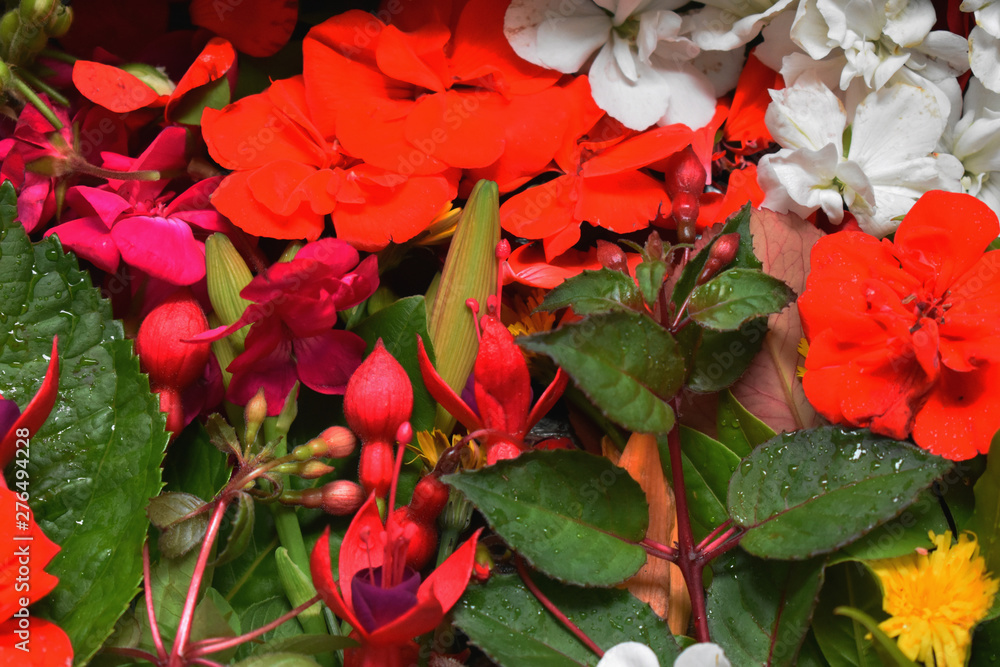 Muchas flores juntas, flores de colores foto de Stock | Adobe Stock