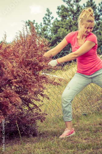Woman removing pulling dead tree