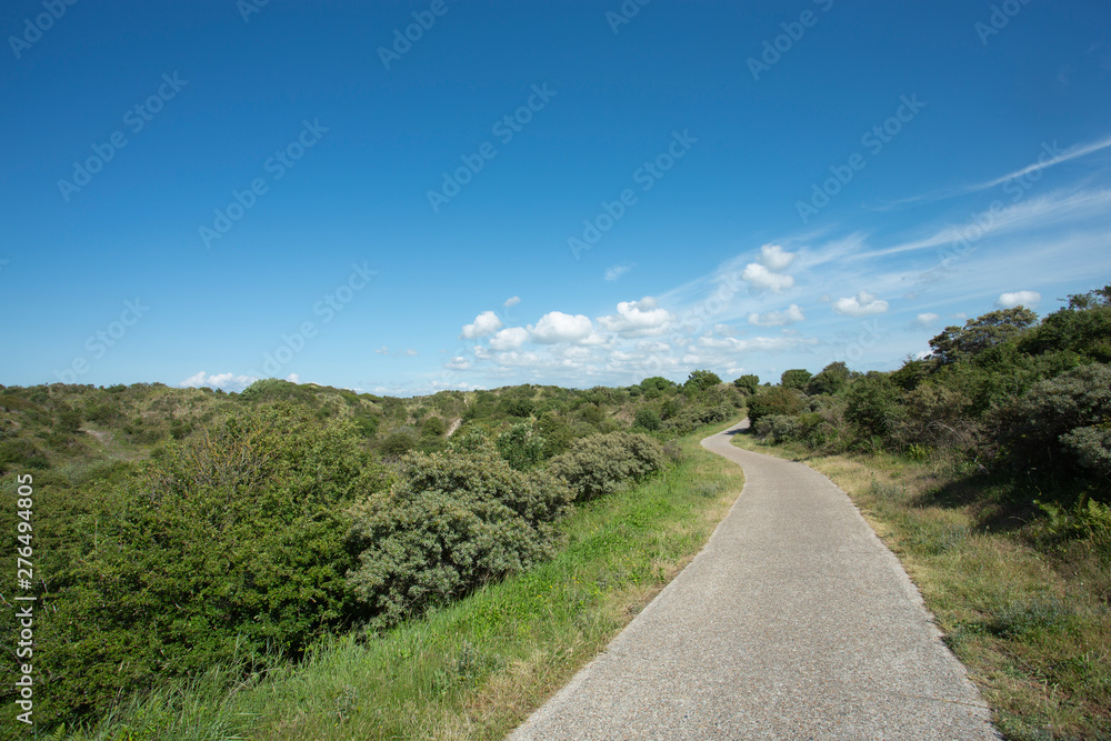 Path in the Dunes