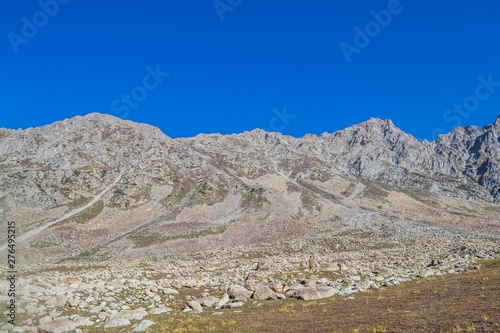 Rocky alpine meadow with mountains in background