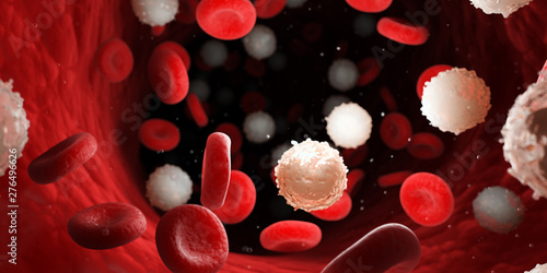 3d rendered medically accurate illustration of too many white blood cells due to leukemia photo