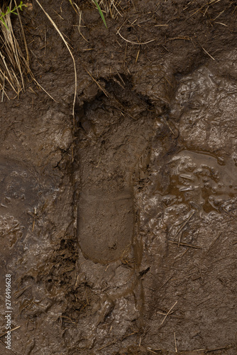 Obraz na płótnie A footprint in the mud w salonie