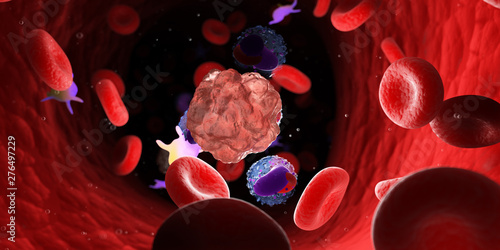 3d rendered medically accurate illustration of leucocytes attacking a cancer cell photo