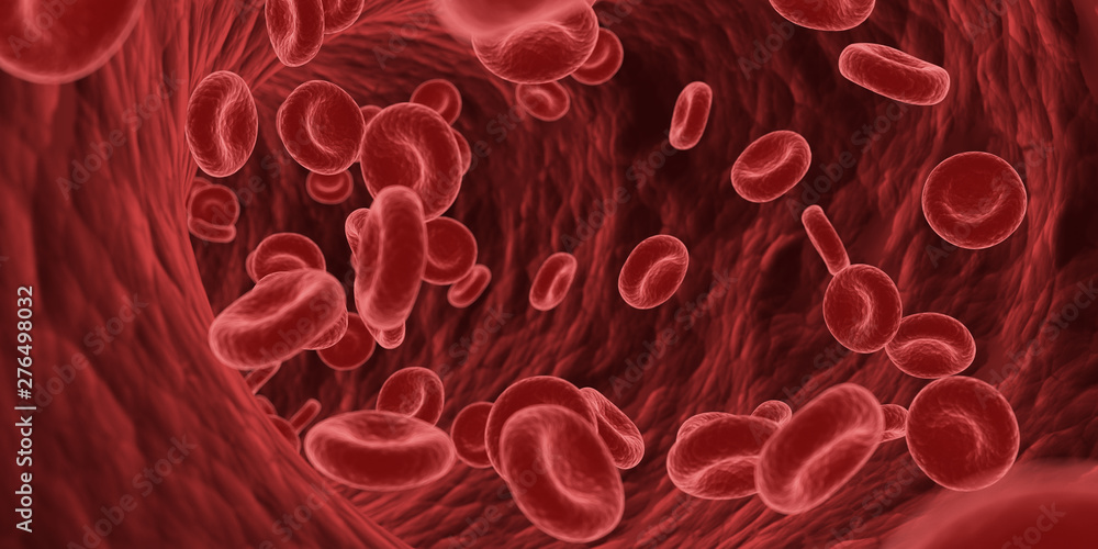 3d rendered medically accurate illustration of blood cells in a human artery 3d rendered medically accurate illustration of blood cells in a human artery
