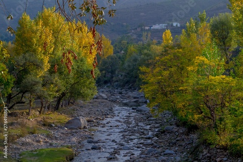 A river in yellow autumn trees
