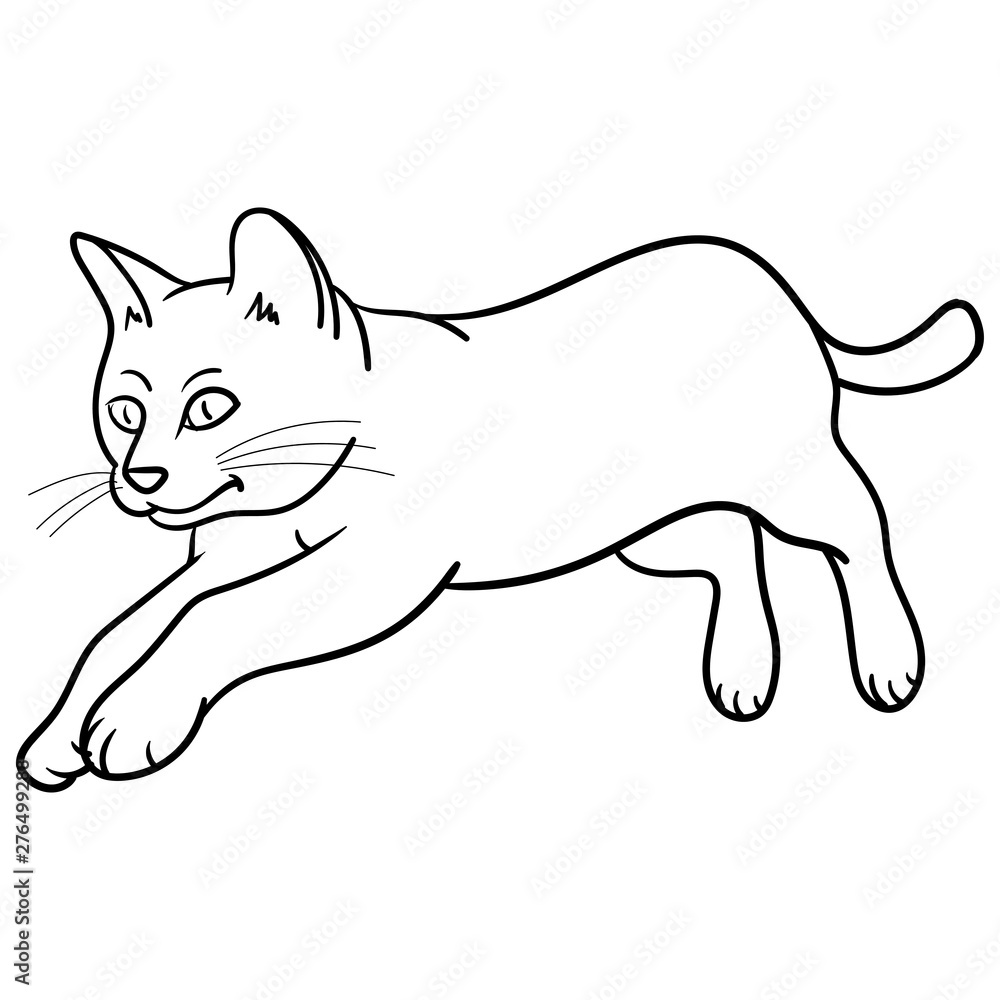 Vector drawing of a cute cat who is jumping and up in the air ...
