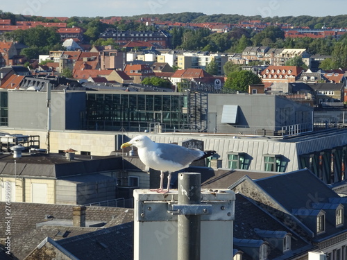 Aahus von oben