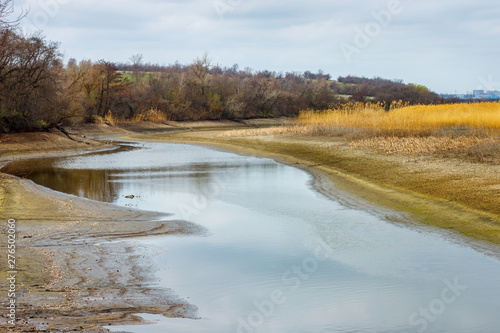 The moody landscape view on the river with small water and the leafless forest on the shore