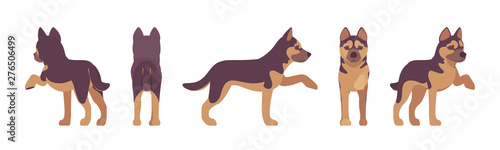 Shepherd dog giving paw. Working breed, family pet, companion for disability assistance, search, rescue, police, military help. Vector flat style cartoon illustration, white background, different view