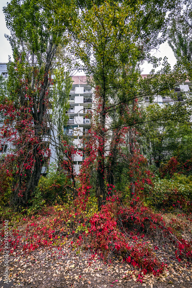 Apartment building in Pripyat ghost town, Chernobyl Exclusion Zone, Ukraine