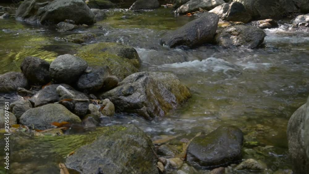 mountain stream in the forest mountain stream in the forest