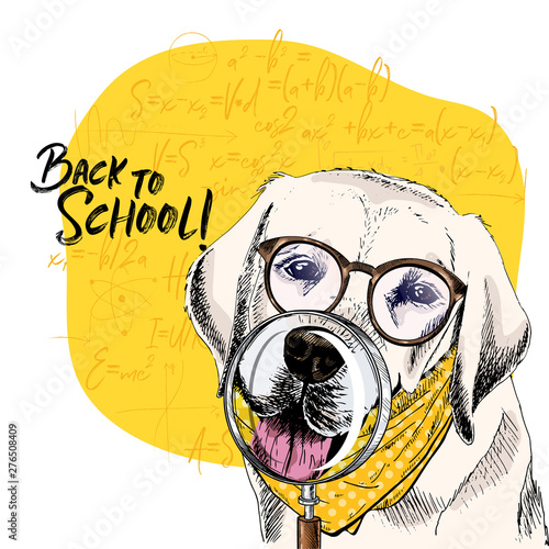 Vector portrait of Labrador retiever dog with magnifying glass and big nose reflection. Back to school illustration. Math formulas on background. Hand drawn pet portait. Study poster, student cartoon. photo