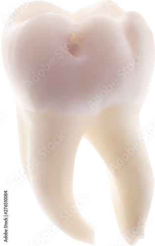 illustration with single tooth isolated on white