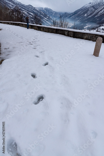 Wallpaper Mural bench in snow Torontodigital.ca