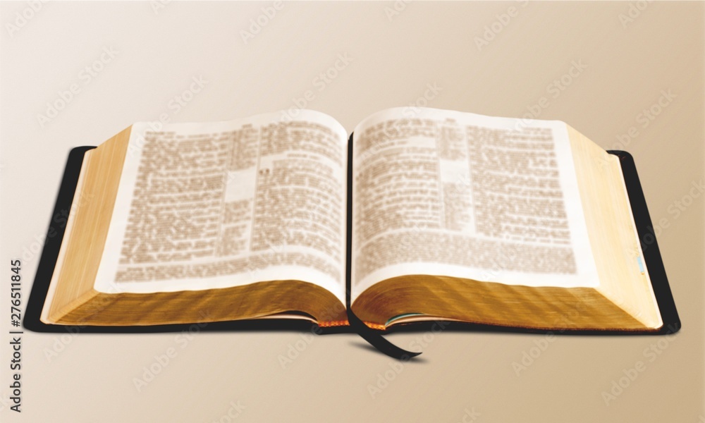 Obraz premium Opened big book isolated on white