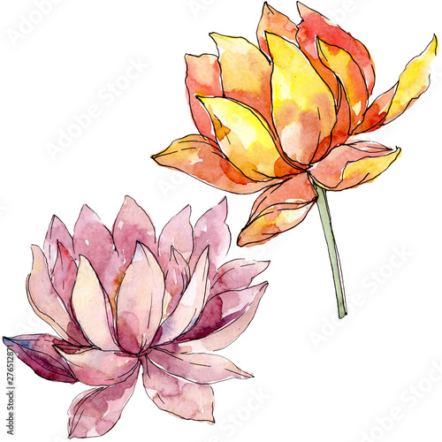 Картината върху платно Lotus floral botanical flowers