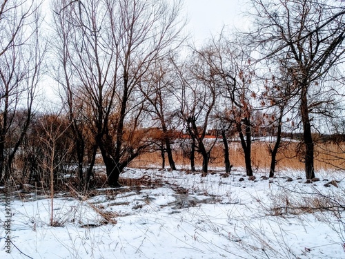 Poltava.Ukraine.Pushkarivka.Winter.