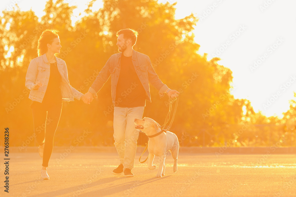 Girl and guy are running with dog Labrador at sunset. Concept lifestyle