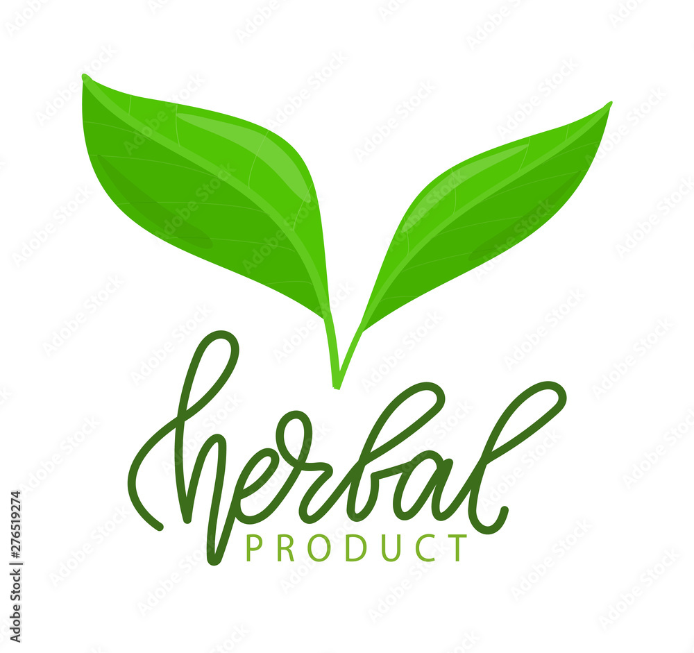 Natural Herbal Logo Template - MasterBundles