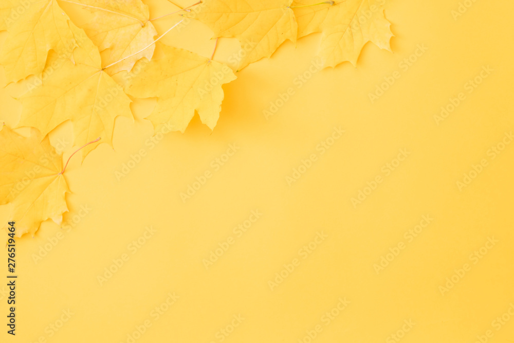 Harvest time. Fall yellow maple leaves scattered over orange background. Copy space. - obrazy, fototapety, plakaty 