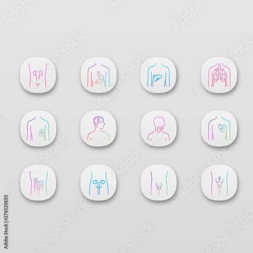 Ill human organs app icons set. Sore heart and lungs. Aching throat and urinary bladder. Unhealthy liver and intestines. UI/UX user interface. Web or mobile applications. Vector isolated illustrations
