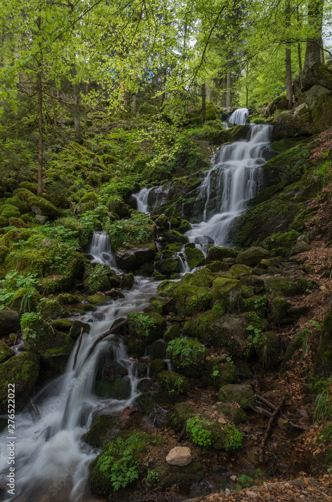 Fototapeta premium Neuviller-la-Roche 14
