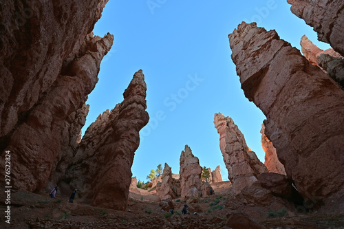 The towering hoodoo rock formations of the Navajo Loop Trail in Bryce Canyon National Park, Utah.