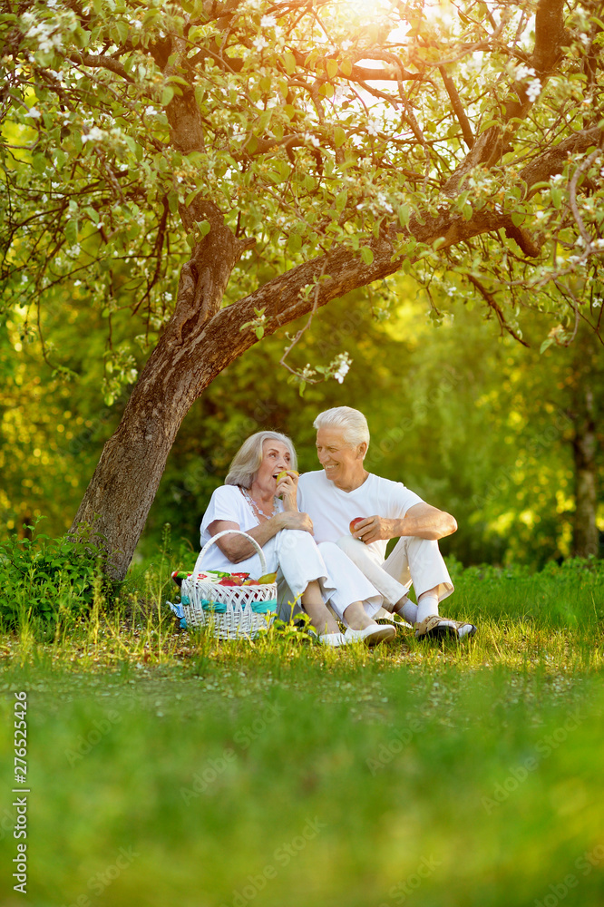 Portrait of loving elderly couple having a picnic Portrait of loving elderly couple having a picnic
