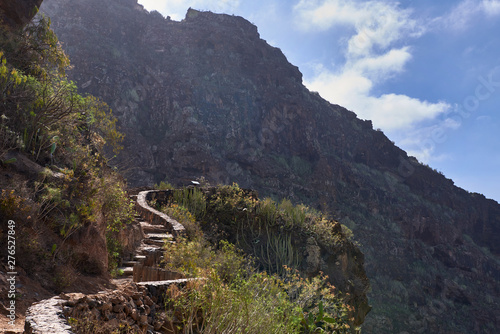 Barranco del Infierno(Hell's Gorge), Tenerife, Canary Islands