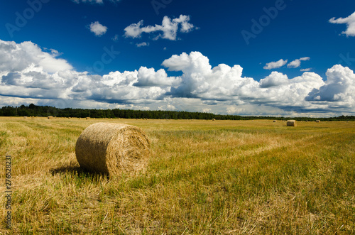 Landscape of haystacks on the field