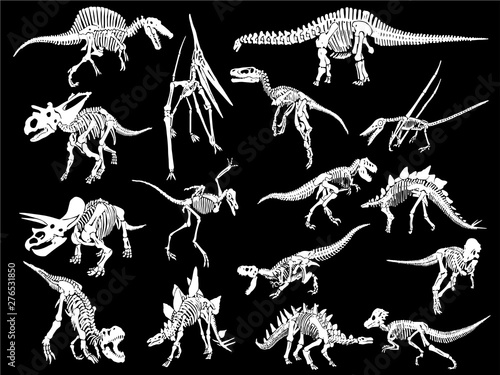 Graphical set of dinosaur skeletons isolated on black background,vector sketch for tattoo and printing