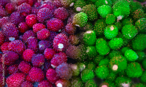 wild strawberry as the most delicious fruit photo