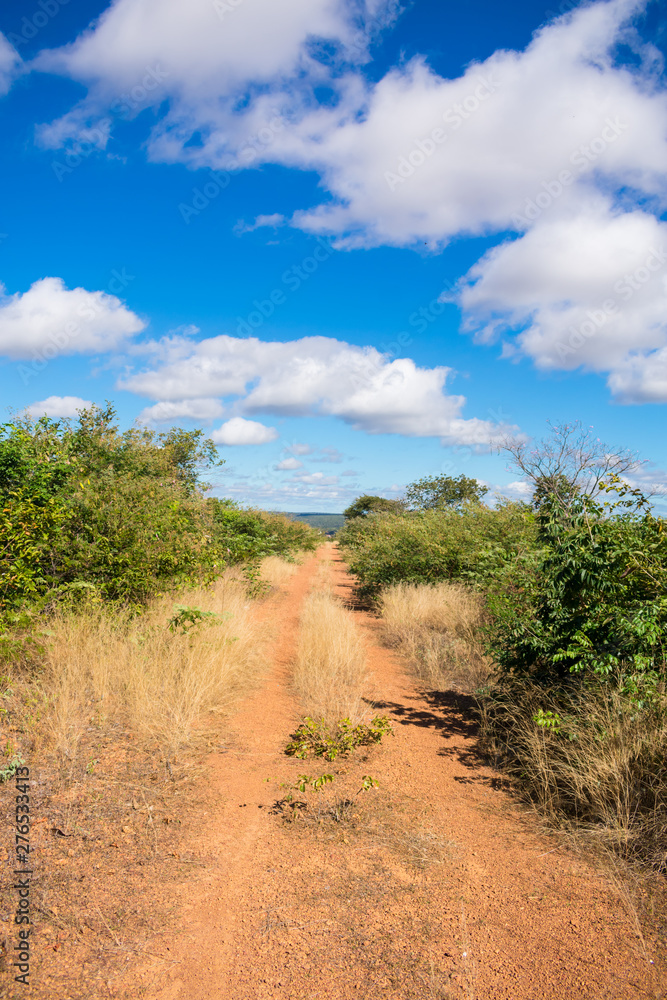 Countryside road in Oeiras, Piaui state, Brazil - Sertao landscape Countryside road in Oeiras, Piaui state, Brazil - Sertao landscape