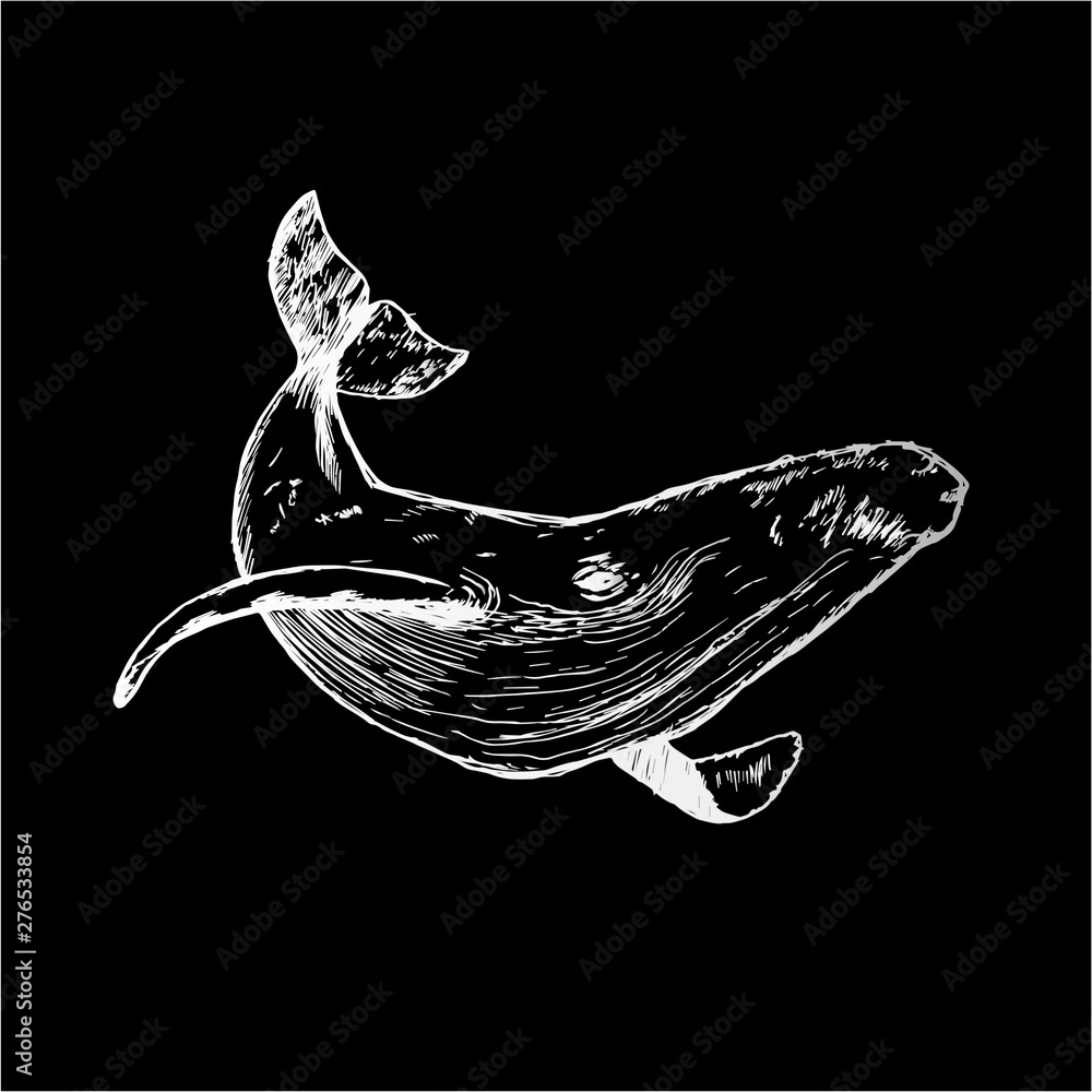 Black white illustration of a whale raising tail in the sea waves. An ...