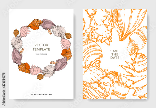Summer beach seashell tropical elements. Engraved ink art. Wedding background card decorative border.