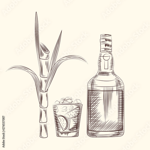 Hand draw cane leaves background. Alcohol drink, sugar plant stalks